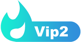 LV2 等级-LV2-诺言资源网