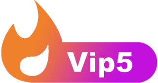 等级-LV5-诺言资源网