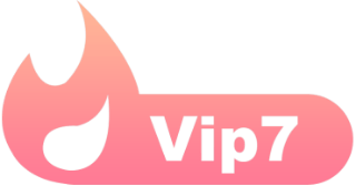 等级-LV7-诺言资源网