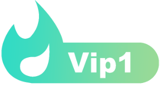 LV1 等级-LV1-诺言资源网