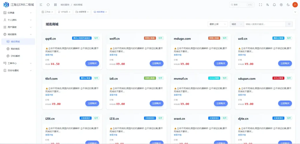 迅风DNS Pro V3域名分发管理系统插图1